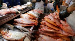 Se estima que, del total de la producción para esta Semana Santa, el 15% sea de pesca artesanal, 24% de la pesca industrial y 61% de cultivo. / Foto: Colprensa