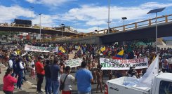Indígenas Barí marchan en Cúcuta./Foto: La Opinión