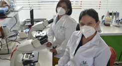 La Unisimón cuenta con 313 profesores investigadores escalafonados por el Minciencias y 44 grupos de investigación igualmente reconocidos. De estos, el 84% está en las categorías de excelencia: 22 en nivel A1 y 15 en A. / Foto: Cortesía