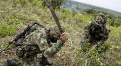 El Gobierno de Colombia destacó que, en 2020, se produjeron resultados históricos en materia de erradicación e interdicción, que incluyeron 130.171 hectáreas erradicadas de manera manual. / Foto: Colprensa