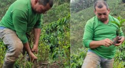 Anunciación Castilla Navarro, campesino de la Playa de Belén, tomó la decisión de cambiar los cultivos ilícitos de coca por café y narra la experiencia significativa. / Foto: Javier Sarabia