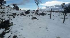 En la vereda El Llanito de Capitán Largo perdieron todos los cultivos. / Cortesía/ La Opinión 
