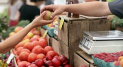 Se busca fortalecer los procesos productivos y de comercialización del sector hortifrutícula en Norte de Santander. / Foto: Archivo La Opinión