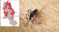 El dengue en Norte de Santander