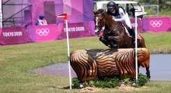 Jet Set, caballo sacrificado en los Olímpicos.
