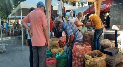 Agricultores de Ricaurte, Palmarito, Banco de Arena, Oripaya entre otros, vendieron sus productos en el mercado campesino realizado en el barrio Guaimaral./ Cortesía/ La Opinión 