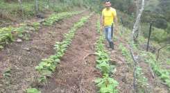 A los productores beneficiados les entregan una donación de capital semilla en insumos agropecuarios para que puedan ejecutar sus emprendimientos productivos. / Foto: Cortesía