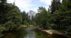 Misteriosa muerte de una pareja, su bebé y su perro en un bosque 