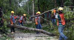 Los trabajadores locales limpian las calles después del paso del huracán Grace por la costa de Tulum, estado de Quintana Roo, México. / Foto: AFP