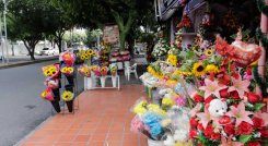 Celebración del día de Amor y Amistad