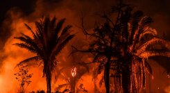 Los incendios en la Amazonía brasileña cuando comenzó la temporada de incendios se mantuvo cerca de los máximos de casi una década. / Foto: AFP