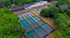 Se harán trabajos de acondicionamiento y mantenimiento en la planta de tratamiento El Pórtico. / Foto: Cortesía