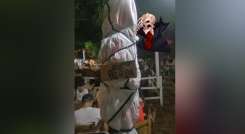 Este adorno fue visto en un local de Los Patios, este sábado, en la celebración de Halloween. / Foto: Twitter
