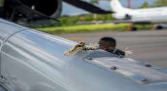 Capturan a presunto responsable de atentado contra Duque en Cúcuta./Foto: colprensa