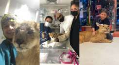 El médico veterinario, Emyr Alexis Chaparro Gereda, radicado en Arabia Saudita. Foto: Cortesía/La Opinión.