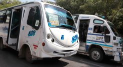 Serán cinco empresas las que suplirán las necesidades de transporte público colectivo. / Foto: Archivo