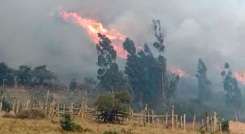 En Norte de Santander ya se han presentado incendios forestales. / Foto: Cortesía