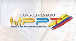 consulta-PPT