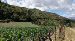 Tierras-cucutilla