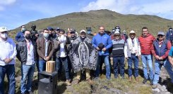 En el páramo de Guerrero comenzó la siembra d árboles/Foto cortesía