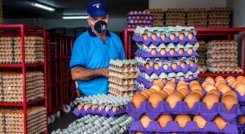 Costo de vida de 2021 subió 5,62%, el más alto desde 2017