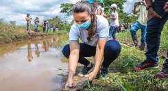 Humedal Los CÁmbuos en el corregimiento de PALMARITO./Foto cortesía