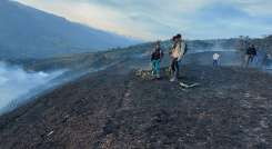 Incendio forestal.