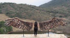 Las alas miden cinco metros de largo.