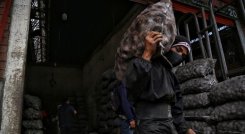 El agro colombiano depende de fertilizantes que cuentan con componentes que vienen de Rusia. / Foto: Colpensa