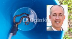 rpiente mapaná muerde a rector en su propio colegio