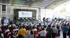 Convenio para renovar café en Norte de Santander