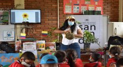 Como un estímulo para desarrollar el hábito de la lectura en el aprendizaje de buenas prácticas para la siembra, el abono y la germinación de semillas, la Alcaldía de Cúcuta, lleva a cabo la iniciativa “Huertas Literarias” que favorece a niños y niñas de las zonas rurales y urbanas.