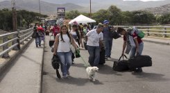 mascotas - migración 