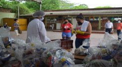 Juez municipal favorece tutela que ordena la implementación del PAE