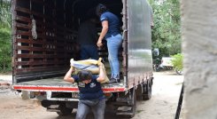 Las mujeres de la vereda El Amparo, en el corregimiento Palmarito de la zona rural de Cúcuta, se sumaron al proyecto de pollos de engorde 