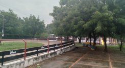patinodromo
