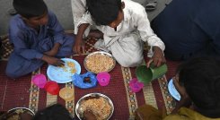 alimentos 