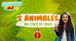 Reporteritos La Ó