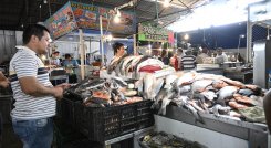 Venta de pescado en Cúcuta