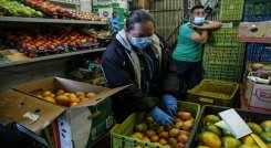 alimentos