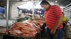 El precio del pescado, aunque tiende al alza, se mantiene económico. La cachama es el más económico, el kilo está a $8.000.  / Foto: Jorge Rodríguez/La Opinión