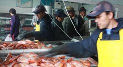 Venta de pescado.