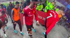 El 'bicho' no tuvo reparos en dañar el celular y seguir caminando tranquilamente