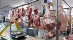 Inconvenientes en los horarios por sistemas de refrigeración genera la discordia entre los expendedores de carne en el municipio de Ocaña. El nuevo operador de la Planta de Beneficio Animal dispuesto a entregar el producto en las horas de la noche para evitar la descomposición.