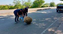 Cuadrillas de Gestión del Riesgo y la Alcaldía retiraron las rocas que obstaculizaban movilidad por la Demetrio Mendoza./Foto cortesía