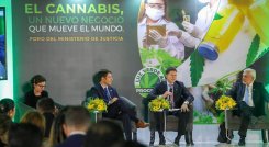Industria de cannabis medicinal se fortalece en el país