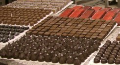 Detectan salmonela en fábrica de chocolate./Foto: internet