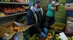 Alimentos