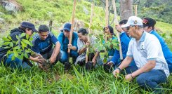 Reforestan cuenca de la quebrada La Mutis, en Los Patios/Foto cortesía