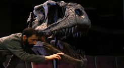 Descubren dinosaurio en Argentina.